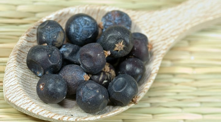 Gin_Juniper_Berry_Panther
