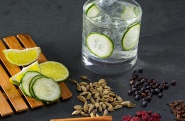 Gin is in! A quick look at why it’s so special