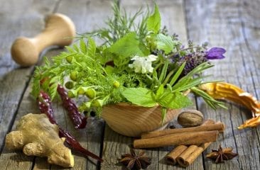 Fresh Culinary Herbs – Tasty and Healthy Seasoning