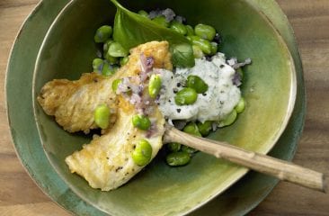 Crispy red snapper on broad beans Crispy red snapper on broad beans