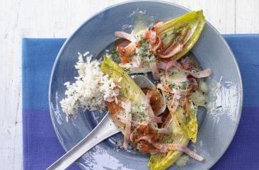 Chicory and rice Chicory and rice