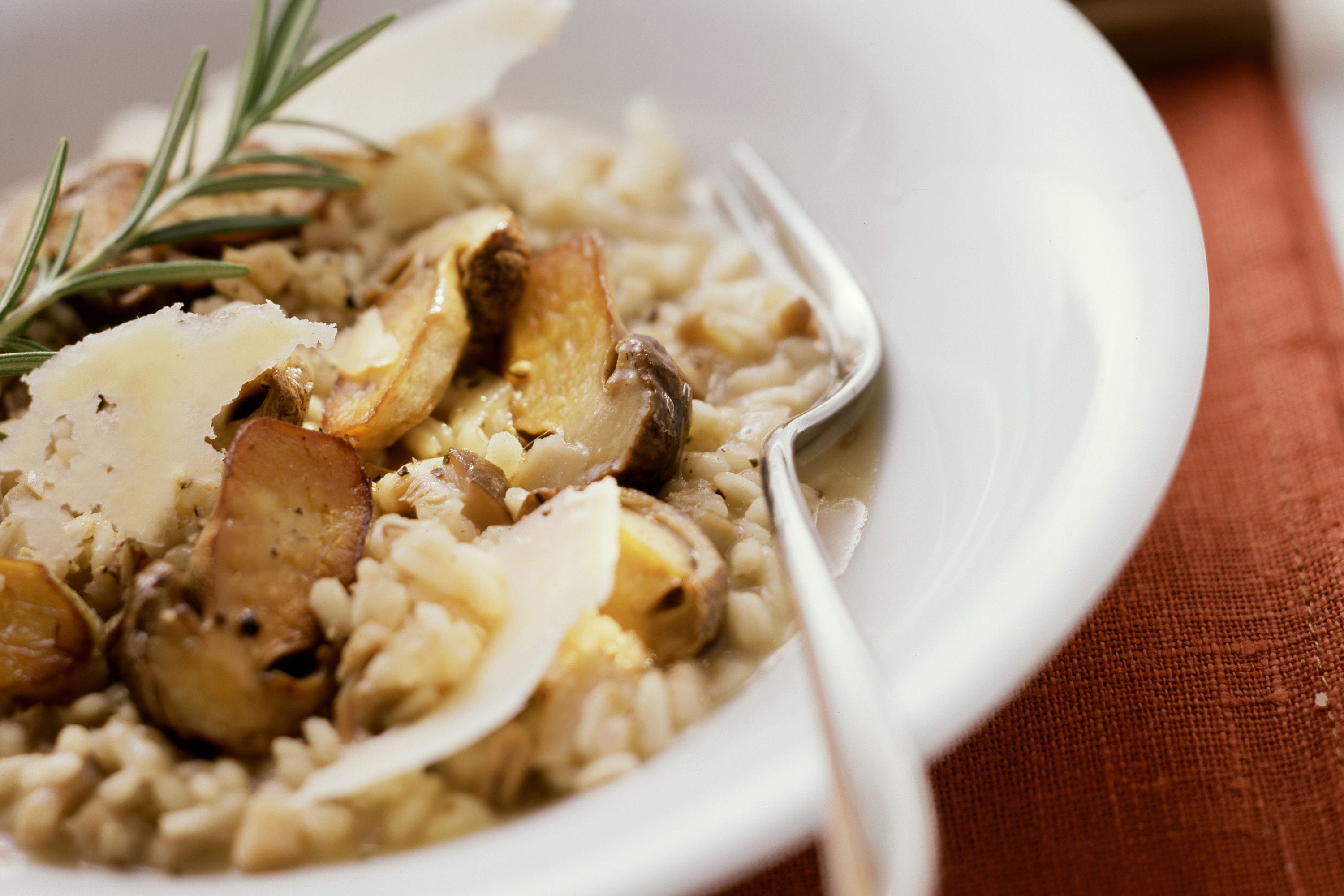Risotto with porcini FreshMAG IE