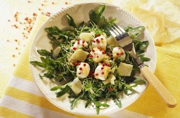 Rocket salad with mozzarella