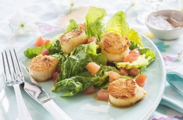 Scallops and salad