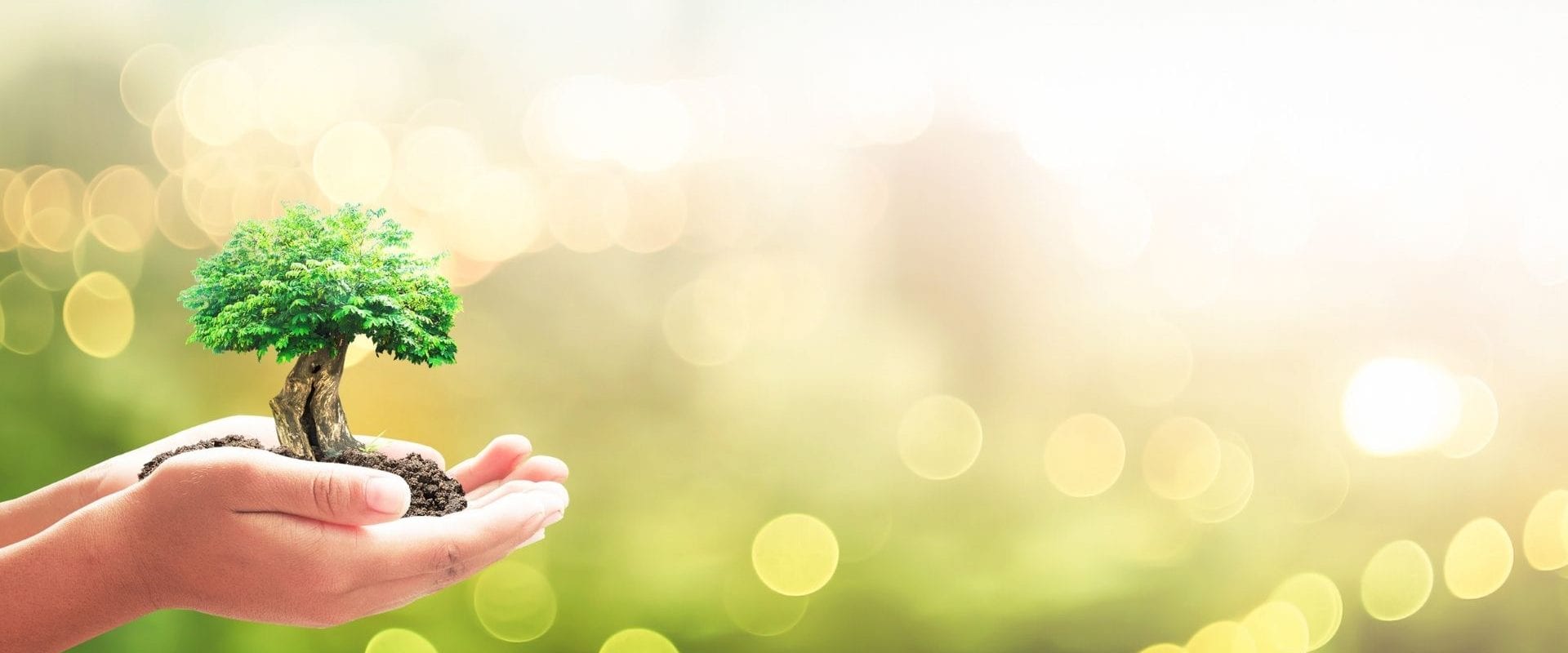 5 everyday tips for a more sustainable lifestyle