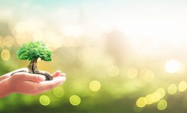 5 everyday tips for a more sustainable lifestyle