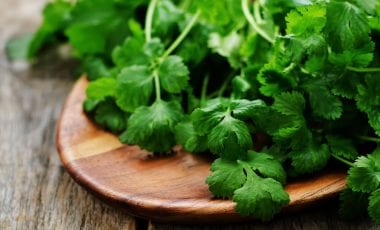 The Polarising Power of Coriander