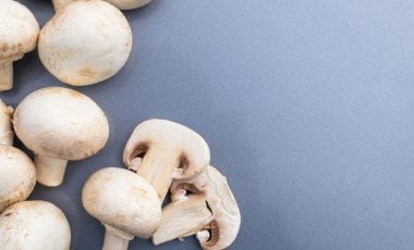 Mushrooms – the savoury delicacy from the woods