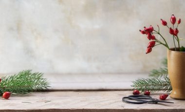 Rosehips – Autumn’s Superfruit