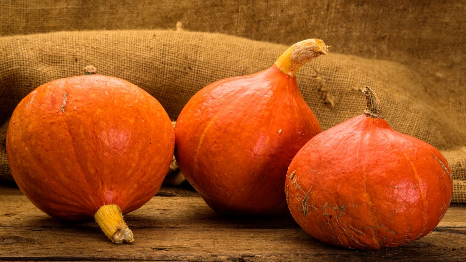 Hokkaido pumpkin – Fruits That Start With H