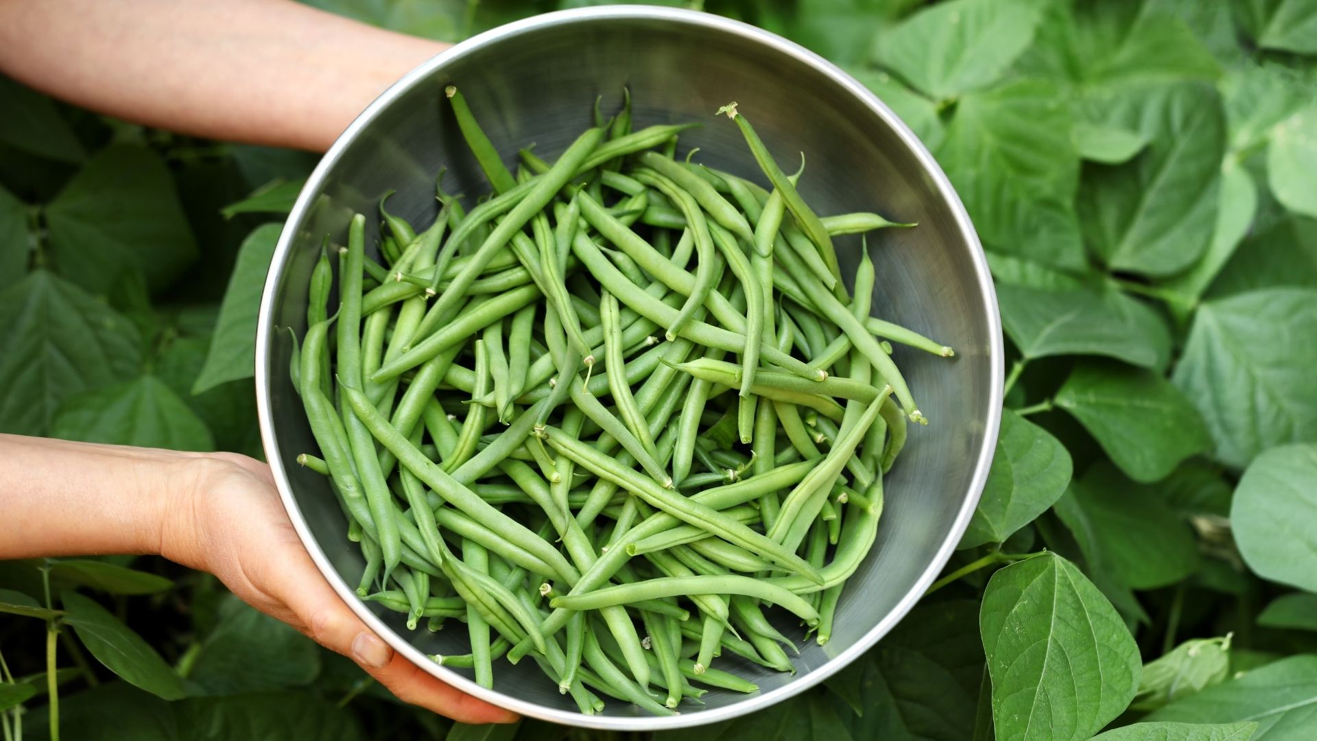 What Can I Eat Green Beans With