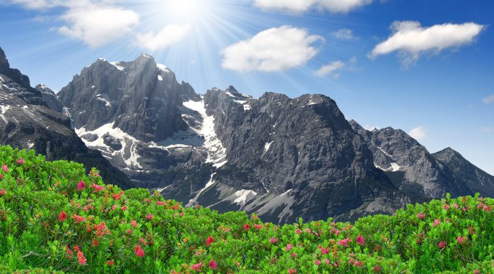 Ice Cream brenta-dolomiten-italien