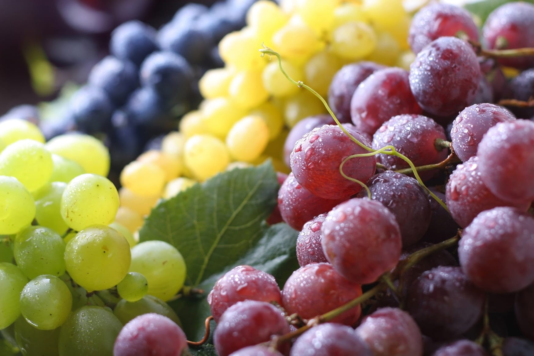 Why are grape varieties blended? - FreshMAG