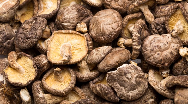 Mushrooms