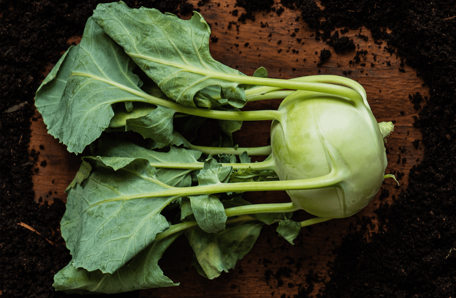 Kohlrabi – tastes great and is packed with vitamins - FreshMAG