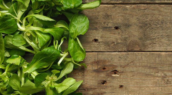 Lambs Lettuce