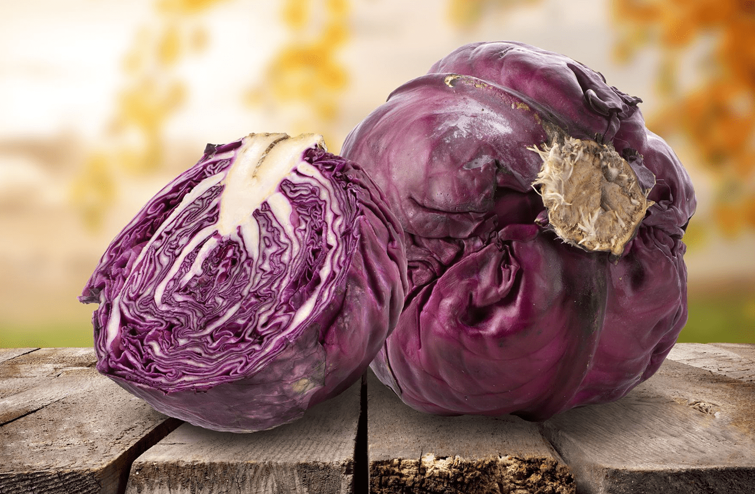 the-secrets-of-red-cabbage-revealed-freshmag