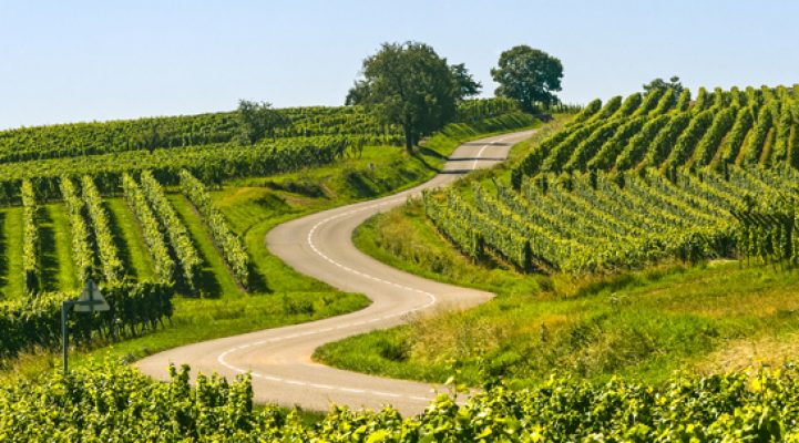 Alsace, Wine, region, Sommelier, France