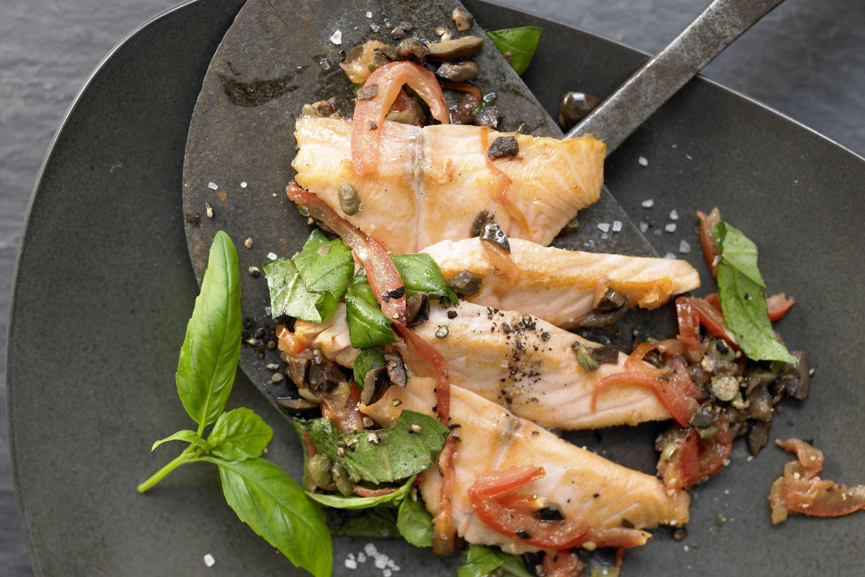 Mediterranean salmon - FreshMAG