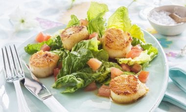 Scallops and salad