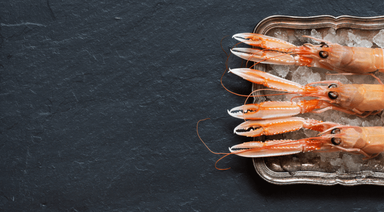 Scottish Langoustines