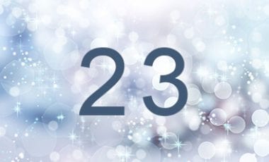 Day 23 of Advent Calendar - Liebherr