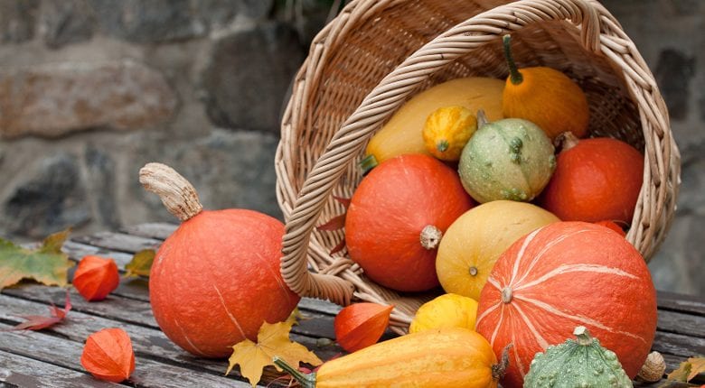 Pumpkins come in different colours