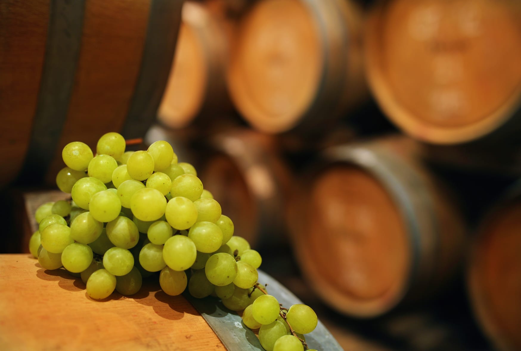 Long term wine storage