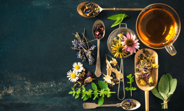 Collecting and enjoying wild herbs – 5 tips