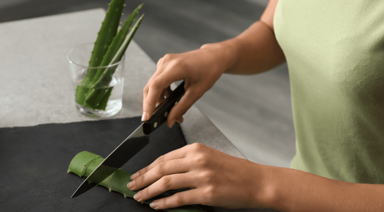 Cutting Aloe Vera
