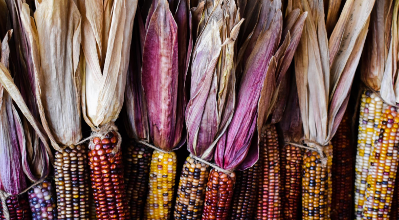 Coloured Corn