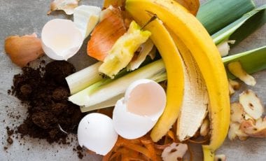 Five tips for “upcycling” food and fighting food waste!