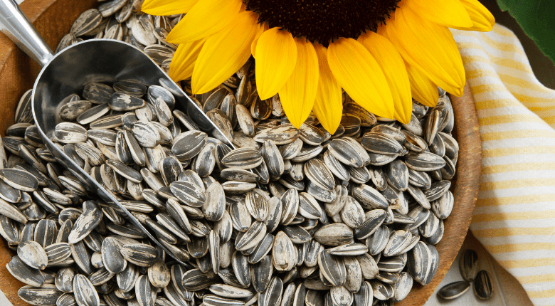Sunflower seeds food trend