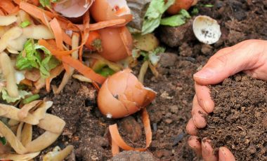 A picture of food waste, egg shells, carrot peeling and soil.