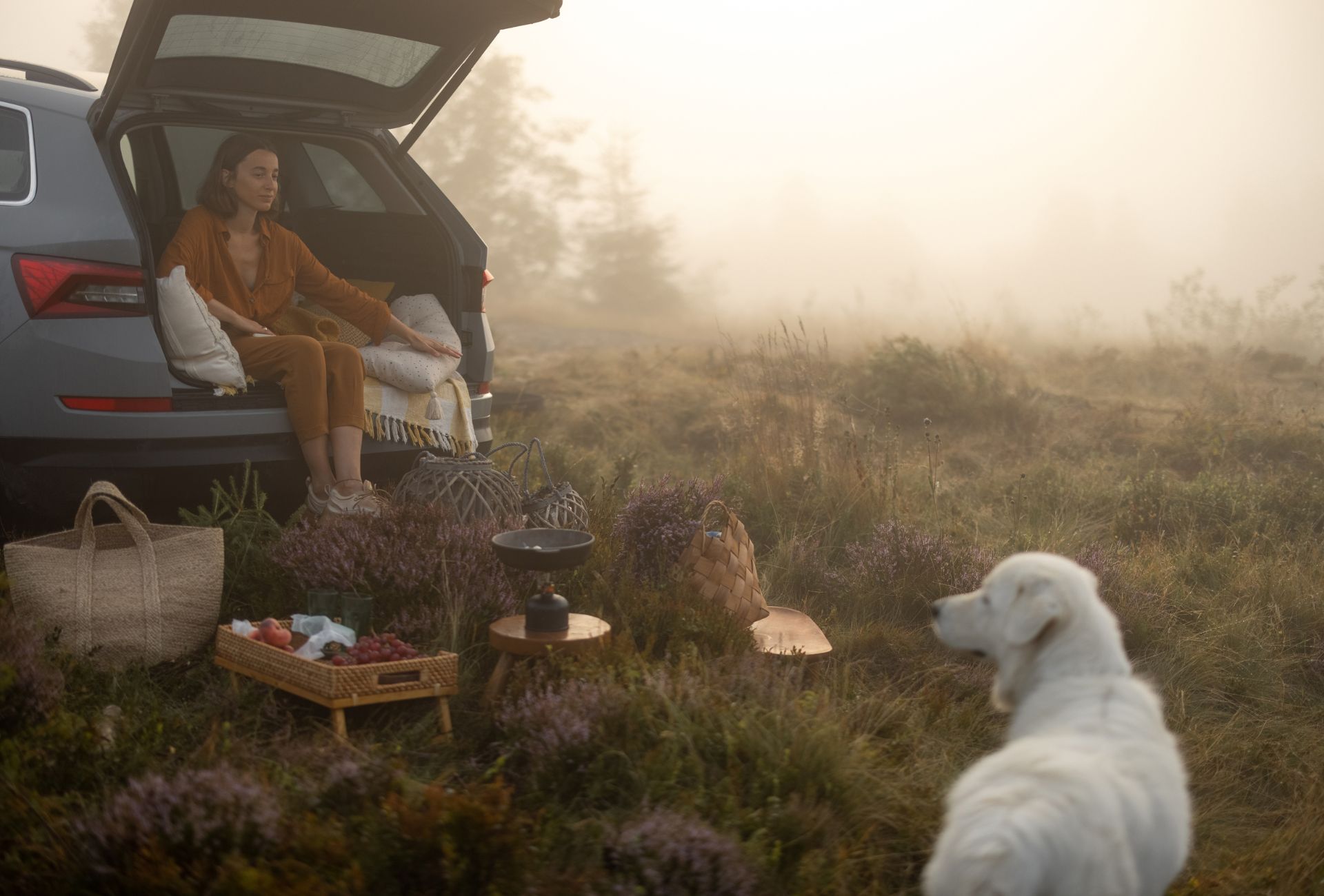 car boot picnic example