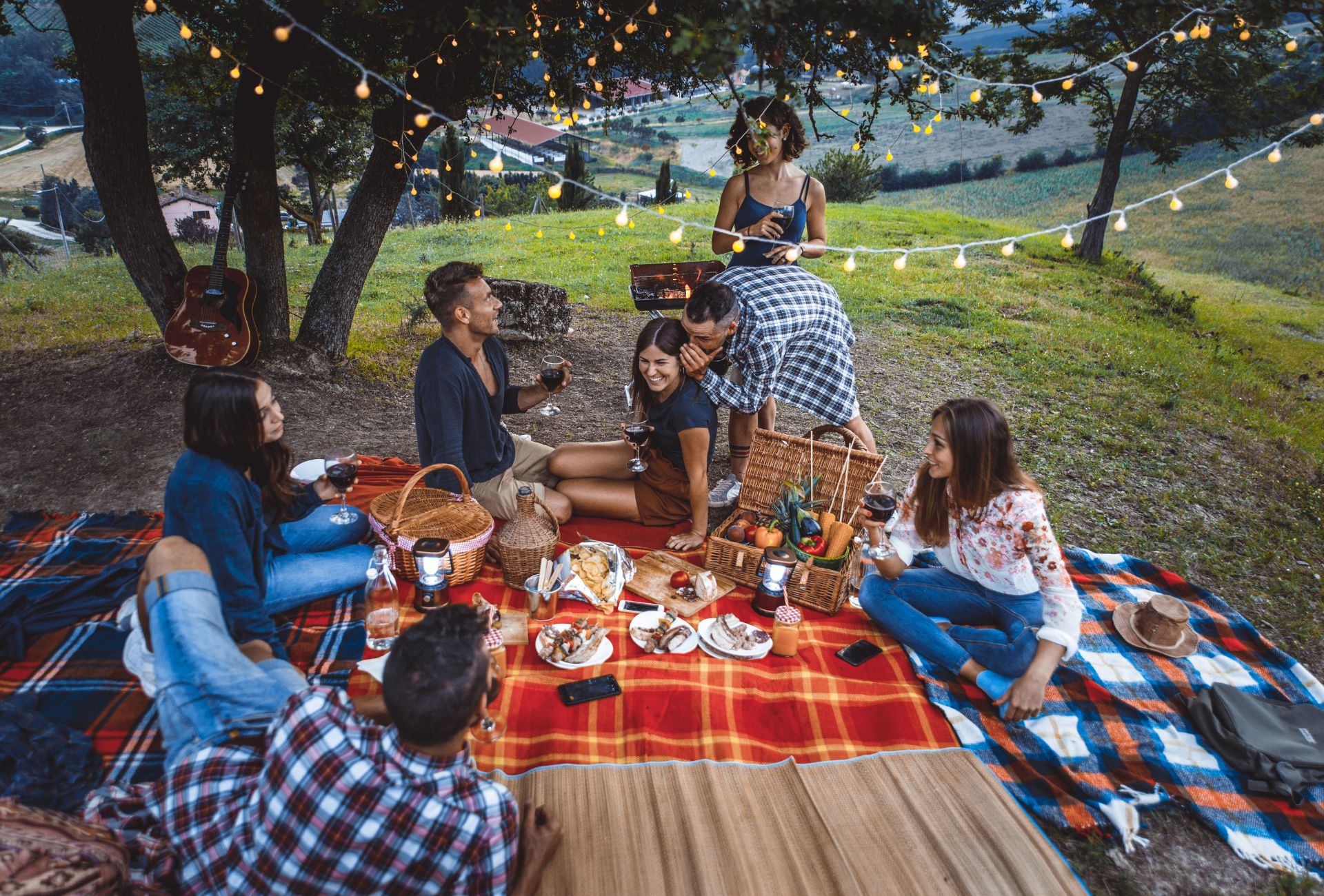 picnic party