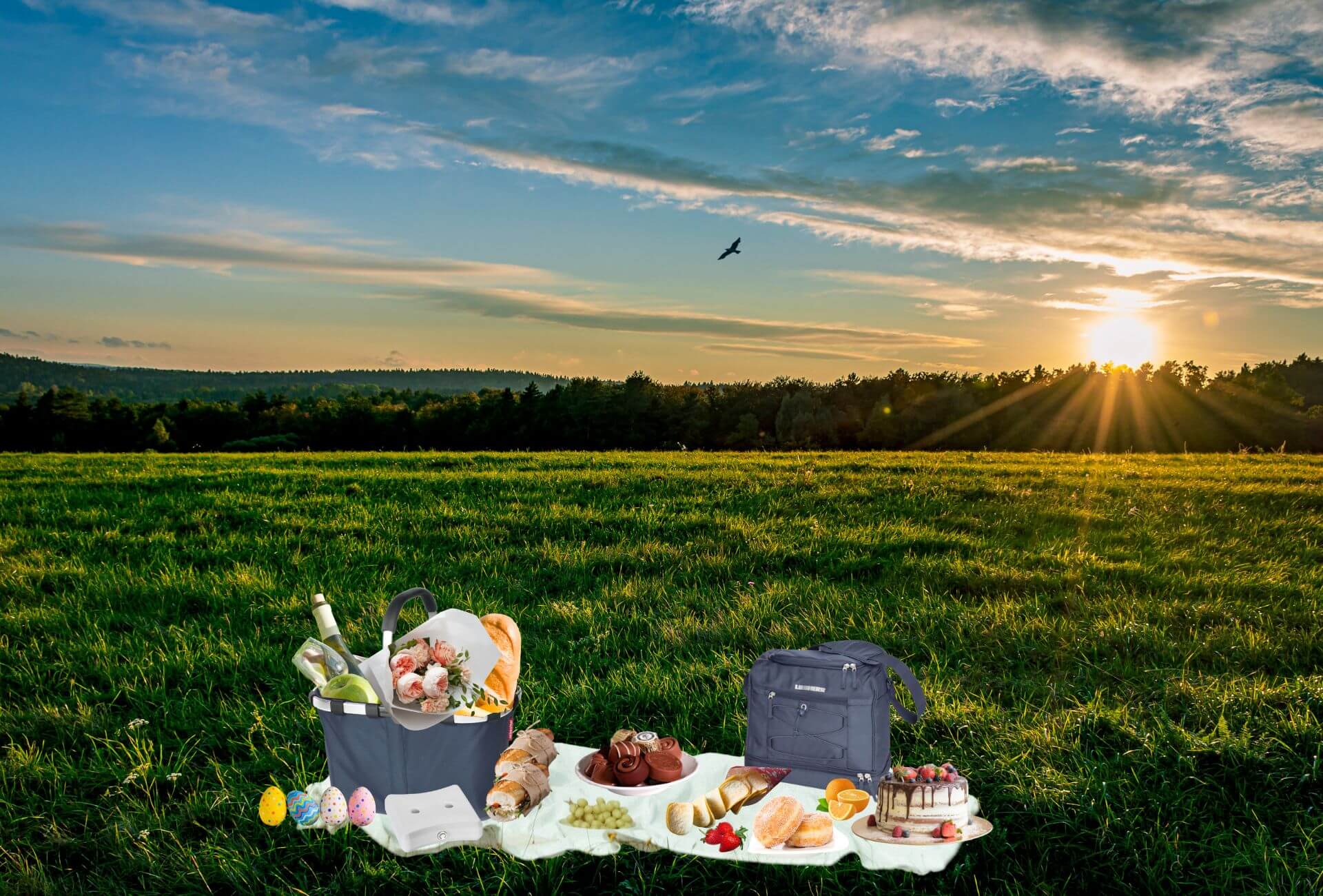 Picnic in a field