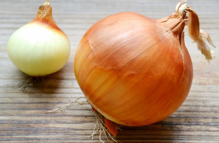 Onion1_Panther-721x400