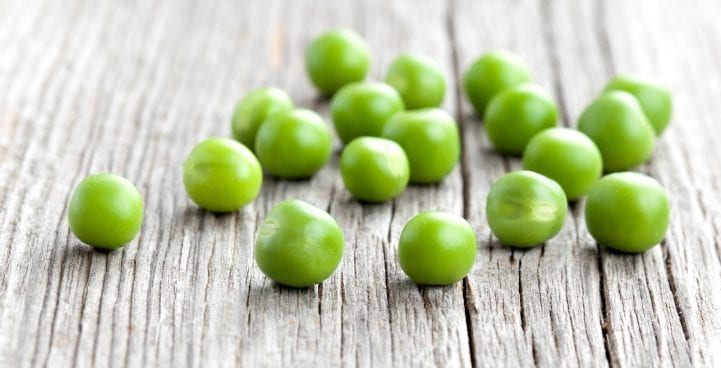 peas 2_panther-721x400