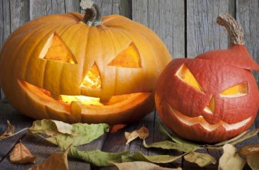 10 interesting facts about Pumpkins - FreshMAGAZINE