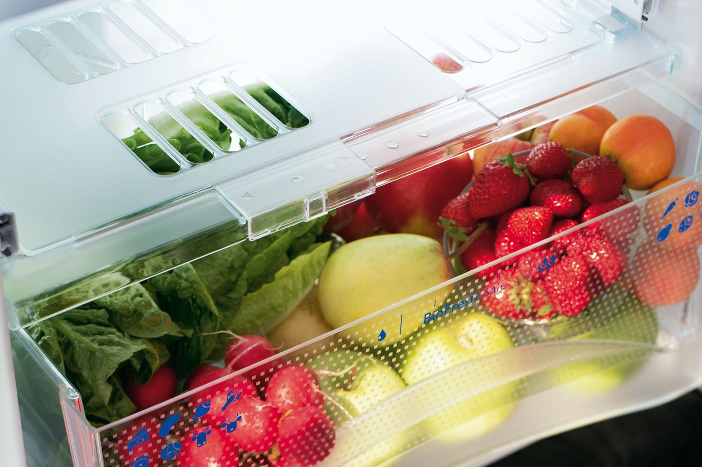 Холодильник с заморозкой. Контейнер для овощей в холодильник Либхер 9989526. Холодильник для заморозки. Охлаждение продуктов. Холодильник для овощей.
