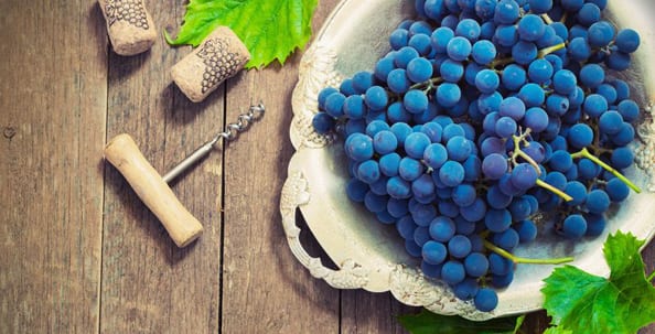 Грозде за вино или десертно грозде - каква е разликата?