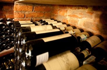 Întunericul și răcoarea – cele mai importante aspecte ale depozitării vinului (partea 1) Întunericul și răcoarea – cele mai importante aspecte ale depozitării vinului (partea 1)
