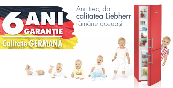 6_ani_garantie