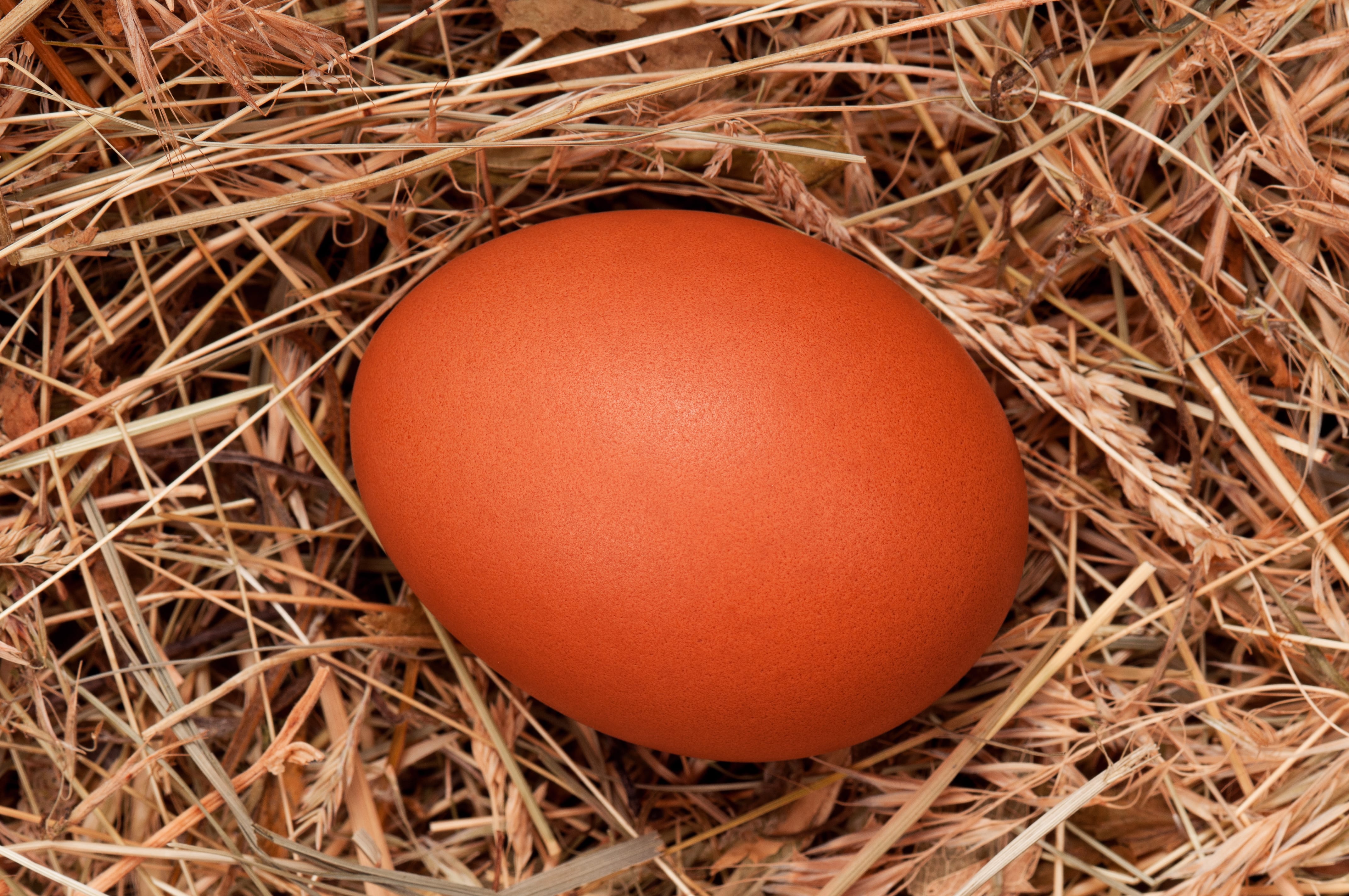Vedere la ouă de pui - Beneficiile ouălor de pui pentru vedere