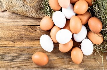 10 cose che non sapevi sulle uova 10 cose che non sapevi sulle uova