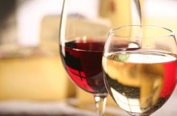 10 vini cult che dovresti assolutamente provare una volta nella vita 10 vini cult che dovresti assolutamente provare una volta nella vita