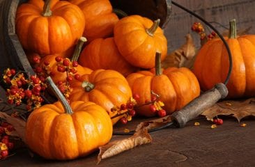 10 curiosità sulla zucca e perché dovremmo mangiarla più spesso 10 curiosità sulla zucca e perché dovremmo mangiarla più spesso