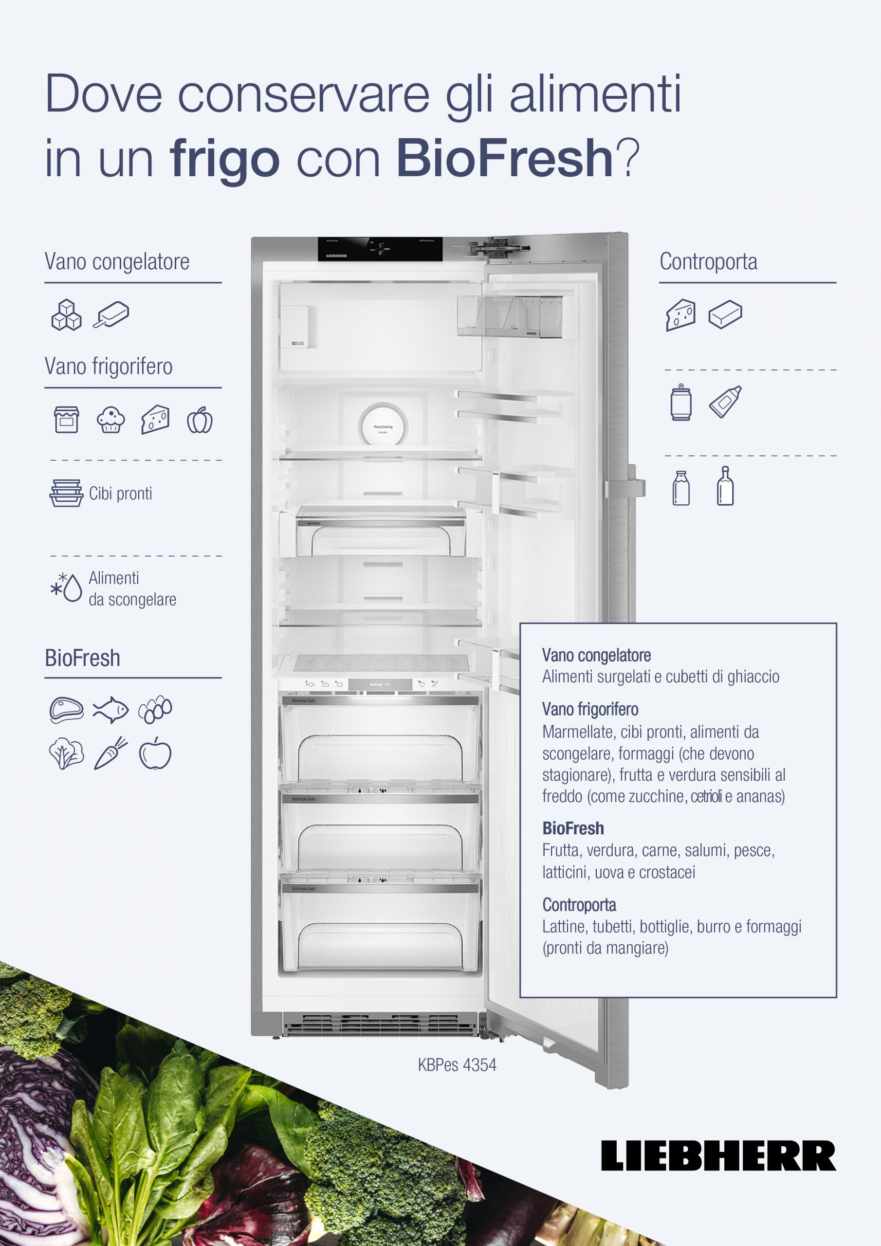 Come conservare gli alimenti in frigorifero in modo corretto - Non Sprecare