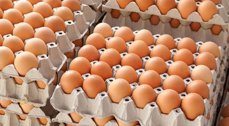 Conservazione delle uova